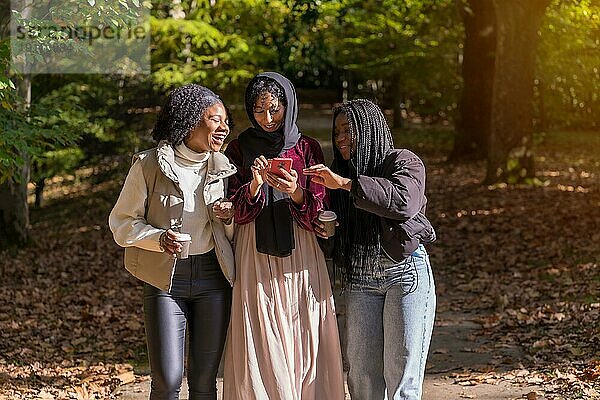 Multirassische Gruppe junger Frauen  die an einem sonnigen Tag mit dem Handy in einem Park spazieren gehen