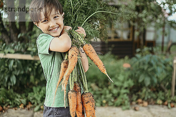 Glücklicher Junge hält einen Haufen Karotten im Garten