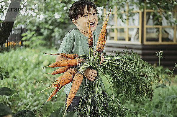 Lächelnder Junge hält ein Bündel Karotten im Garten