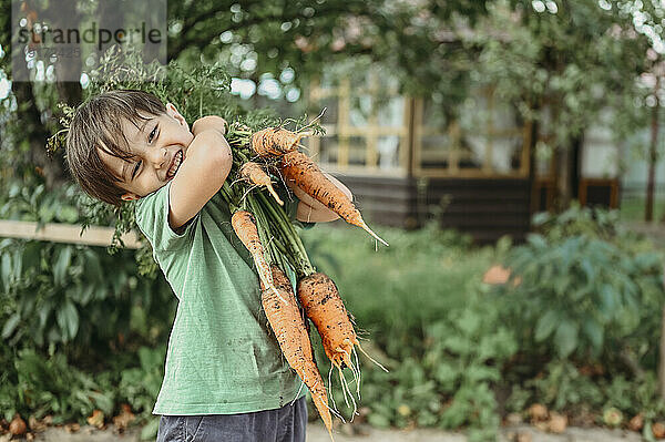 Verspielter Junge hält ein Bündel Karotten im Garten