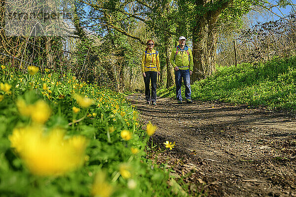 Reife Männer und Frauen wandern im Wald