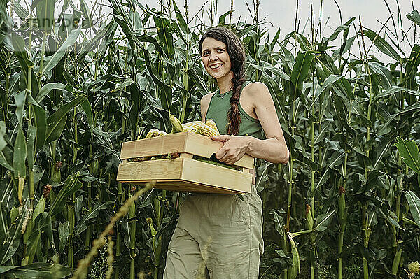 Lächelnde Frau hält eine Kiste mit Hühneraugen im Feld
