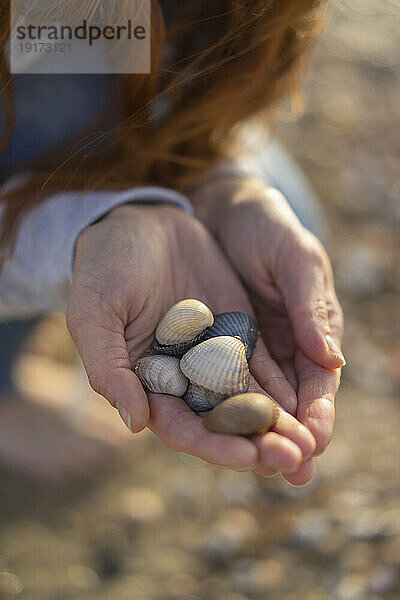 Variety of seashells in hands of woman at beach