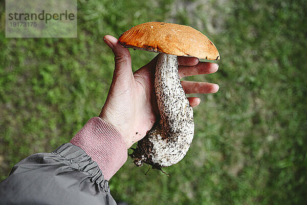 Hand einer Frau mit großem Pilz