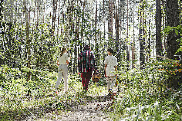 Großmutter geht mit Enkelkindern im Wald spazieren