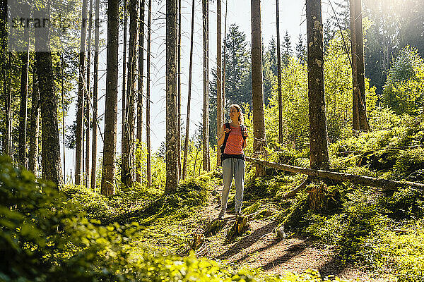 Frau wandert an sonnigem Tag im Wald