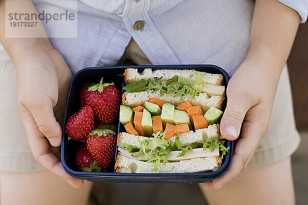 Junge hält Brotdose mit Sandwiches und Erdbeeren