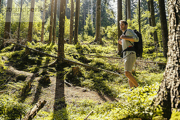 Wanderer mit Rucksack erkundet den Wald