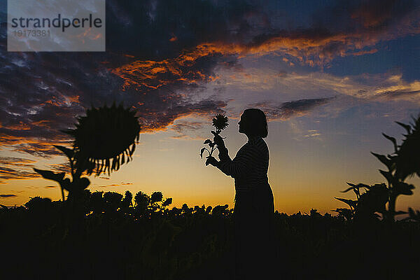 Silhouette einer Frau und einer Sonnenblume im Feld