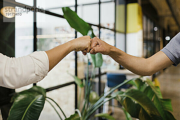 Hands of business colleagues fist bumping at office