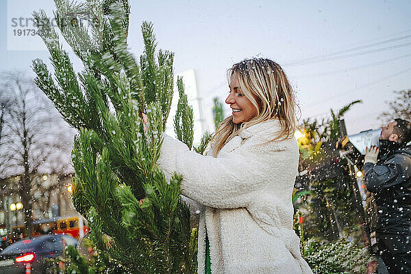 Lächelnde Frau berührt Weihnachtsbaum auf dem Markt