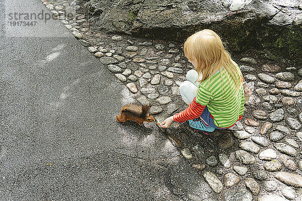 Blondes Mädchen füttert Eichhörnchen auf der Straße