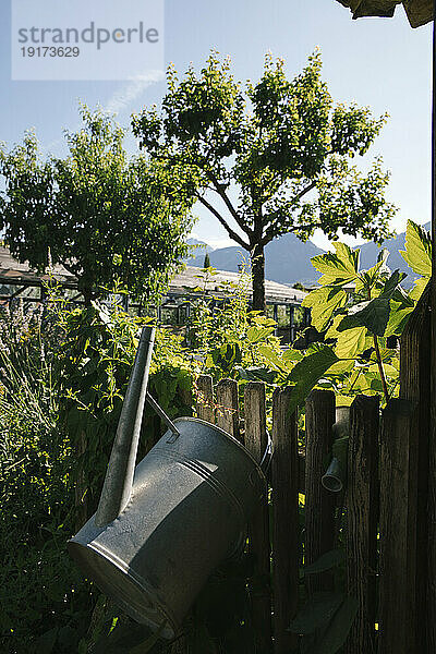 Gießkanne in der Nähe des Zauns im Garten an einem sonnigen Tag