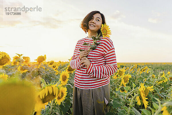 Lächelnde Frau genießt den Sonnenuntergang im Sonnenblumenfeld