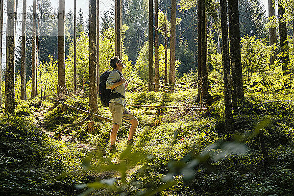 Mann mit Rucksack wandert im Wald