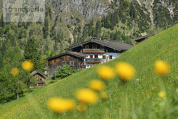 Bauernhaus mit Berchtesgadener Alpen an sonnigem Tag