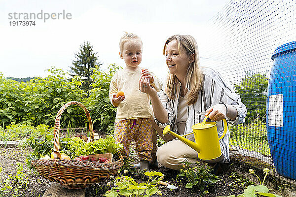 Lächelndes Mädchen mit Mutter  die im Garten arbeitet und Erdbeeren pflückt