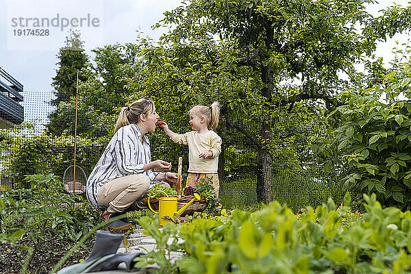 Mädchen füttert Mutter im Garten mit Erdbeeren