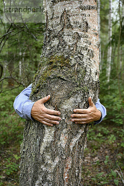 Die Hände eines älteren Mannes umarmen einen Baum im Wald