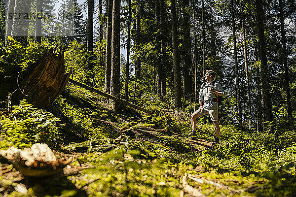 Mann wandert an sonnigem Tag im Wald