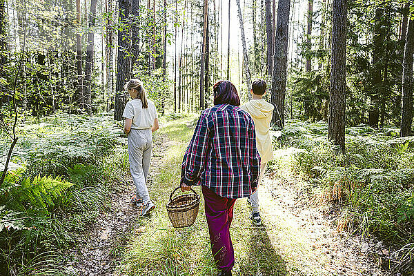 Großmutter hält Korb und geht mit Enkelkindern im Wald spazieren