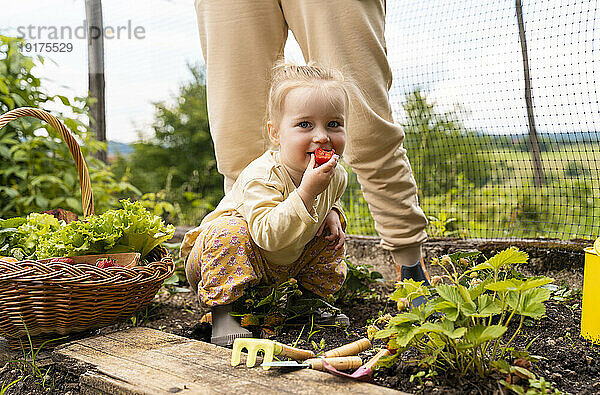 Lächelndes Mädchen  das Erdbeere im Garten isst