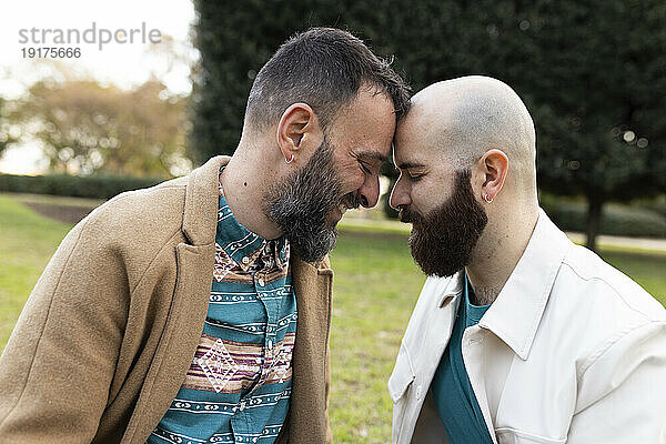 Liebevolles schwules Paar umarmt sich im Park