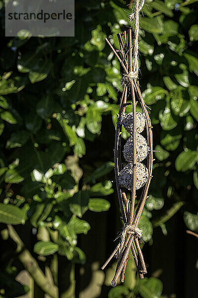 DIY bird feeder hanging outdoors