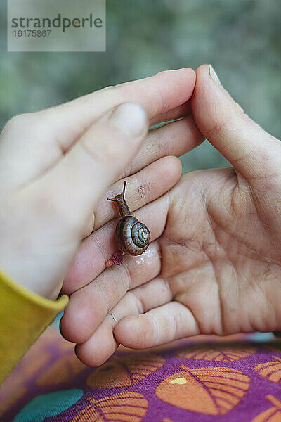 Girl holding small snail on palms of hands