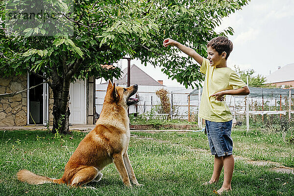 Happy boy giving treat to dog in back yard