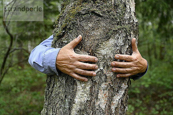 Die Hände eines Mannes umarmen einen Baum im Wald