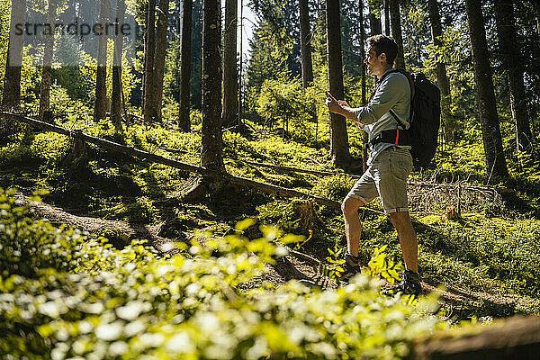 Wanderer mit Rucksack wandert im Wald