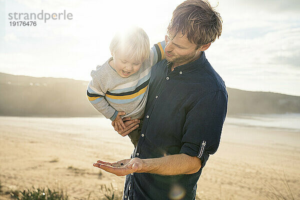 Vater zeigt Sohn an sonnigem Tag Insekt am Strand