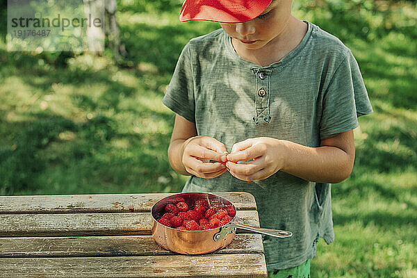 Junge isst frische Himbeeren in der Pfanne auf dem Tisch im Hinterhof