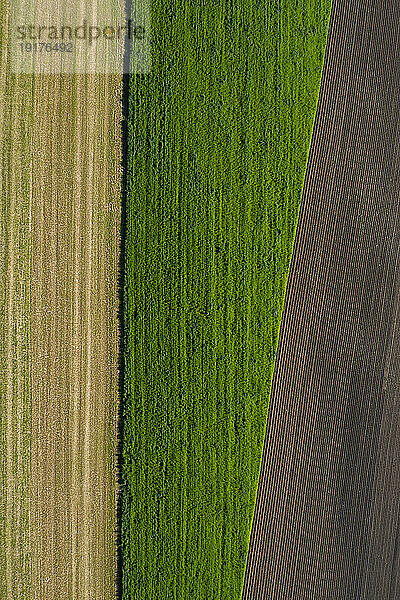 Austria  Upper Austria  Hausruckviertel  Drone view of yellow  green and plowed field