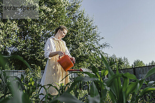 Farmer watering plants in garden on sunny day