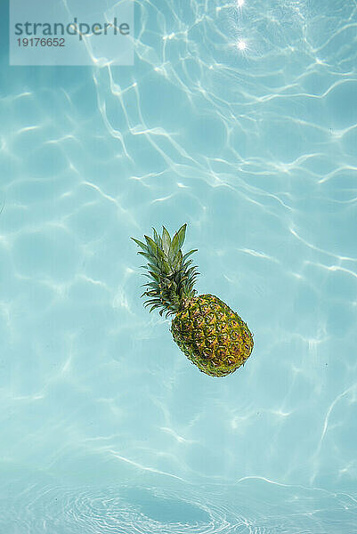 Pineapple floating on water in swimming pool