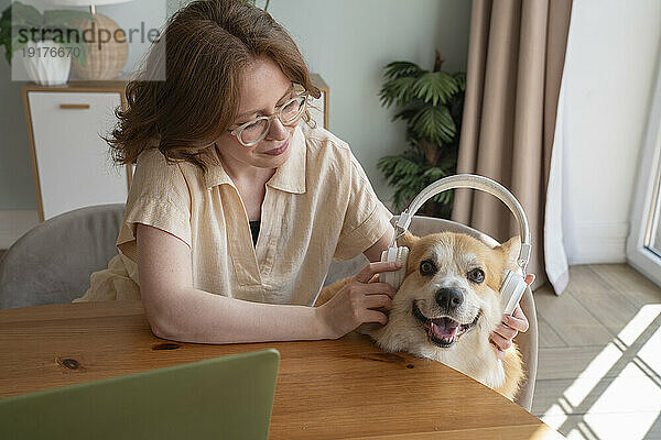 Frau trägt drahtlose Kopfhörer und Welsh Corgi-Hund zu Hause