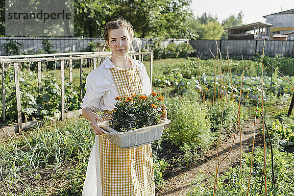 Bauer mit Blumentopf steht im Garten