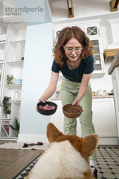 Young woman giving chicken and dog food to Welsh Corgi at home