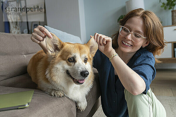 Lächelnde Frau hebt im Wohnzimmer die Ohren ihres Hundes