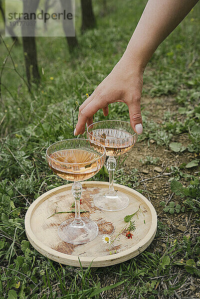 Hand einer Frau  die ein Glas Roséwein aufhebt