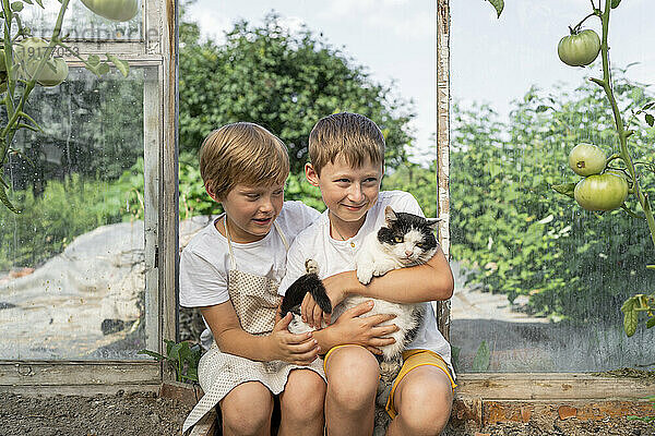 Glückliche Jungs mit Katze  die im Garten sitzt