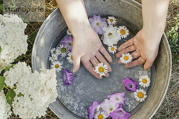 Hands of woman with flowers in water