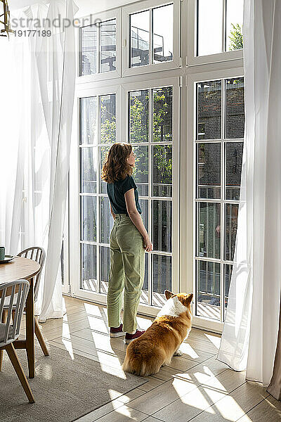 Frau und walisischer Corgi-Hund schauen zu Hause durch das Fenster
