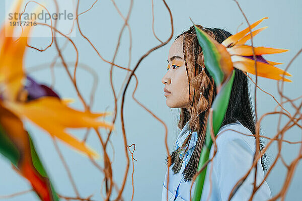 Young woman seen through branches in studio