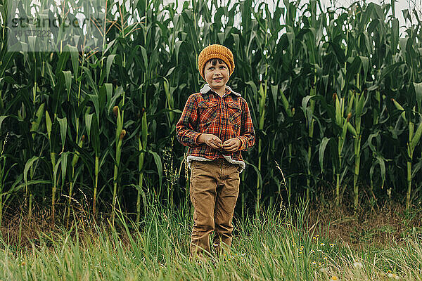 Glücklicher Junge  der vor Maispflanzen steht
