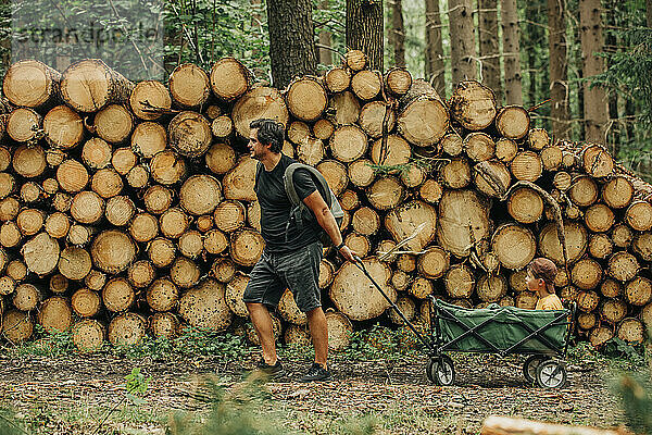 Vater zieht Sohn im Karren an Holzstämmen im Wald