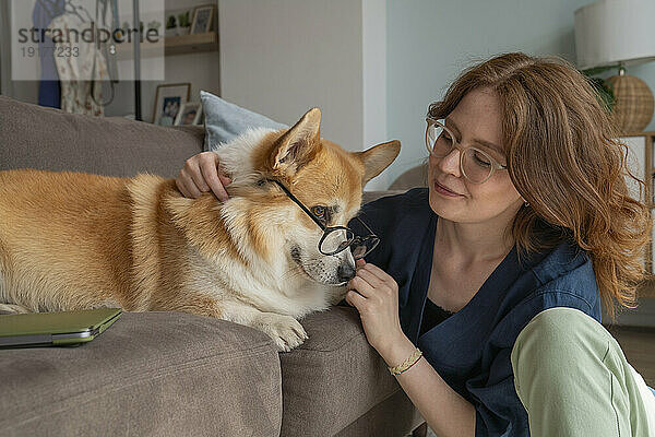 Welsh Corgi dog with eyeglasses on sofa by woman in living room