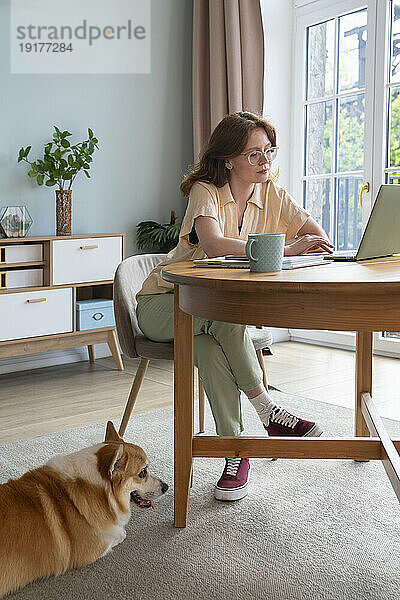 Junger Freiberufler benutzt Laptop und sitzt neben seinem Hund im Wohnzimmer